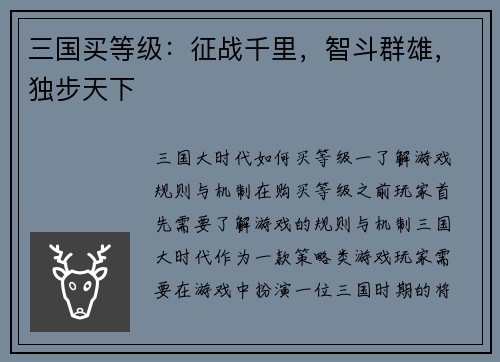 三国买等级：征战千里，智斗群雄，独步天下