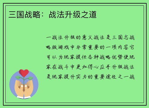 三国战略：战法升级之道